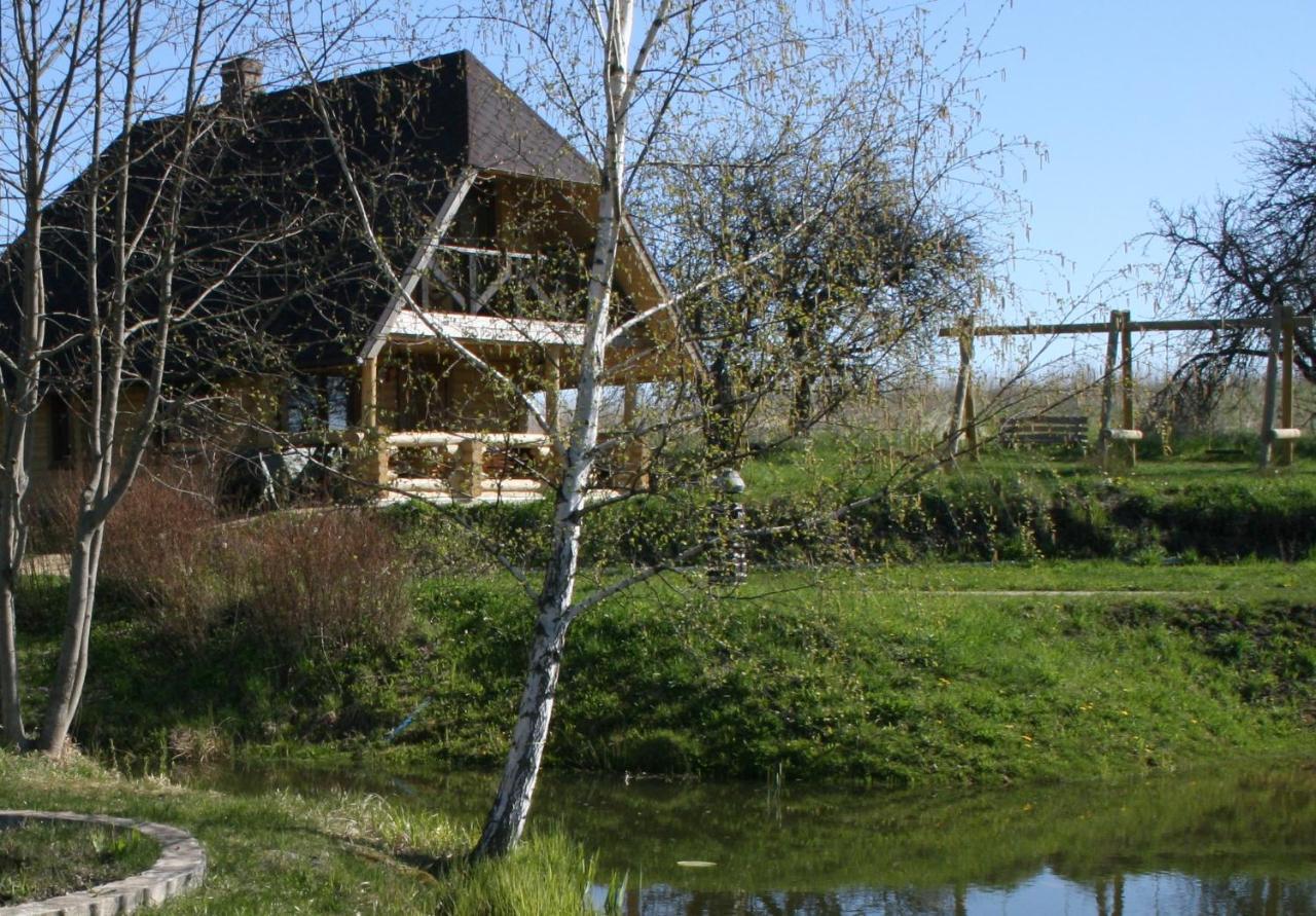 Willa Dikisi Dyneburg Zewnętrze zdjęcie